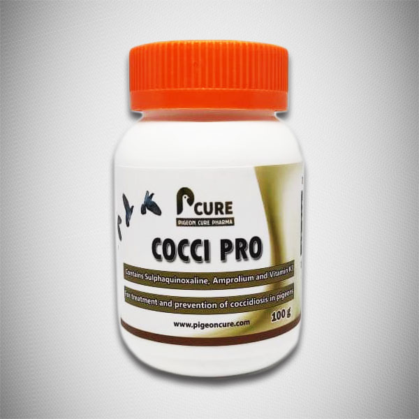Pigeon Cure Pharma Cocci Pro